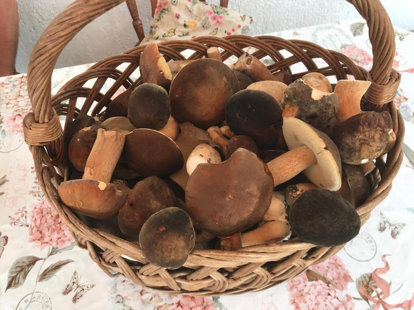 Kuca Suncani Brijeg Pokupsko المظهر الخارجي الصورة